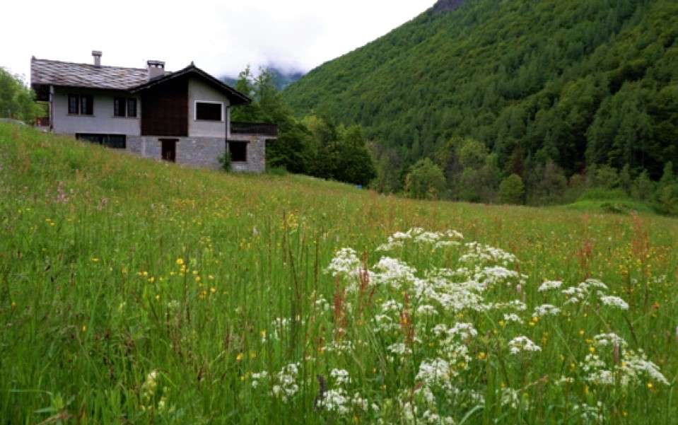 Baita “La Montanara”, un mondo a parte…